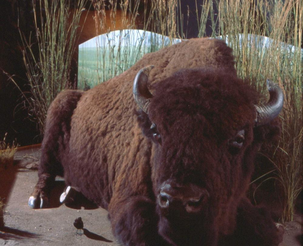 Peter Norbeck Outdoor Education Center-卡斯特必去景点