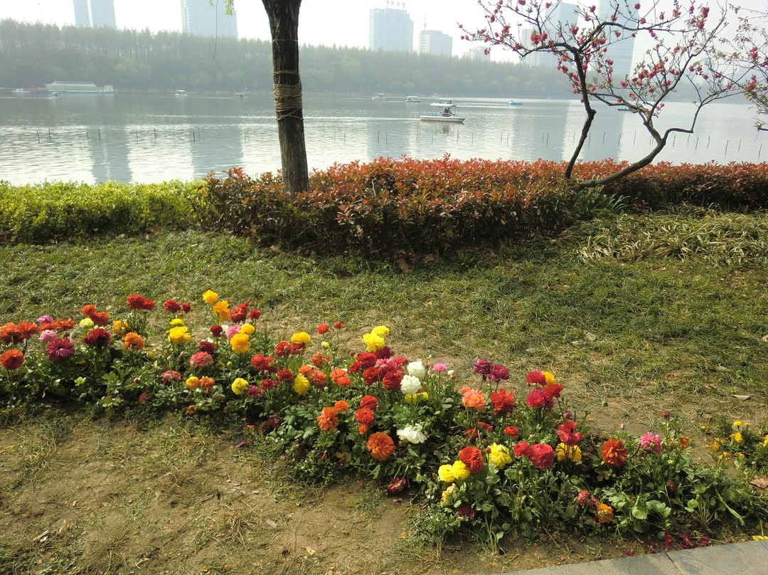玄武湖-南京市必去景点