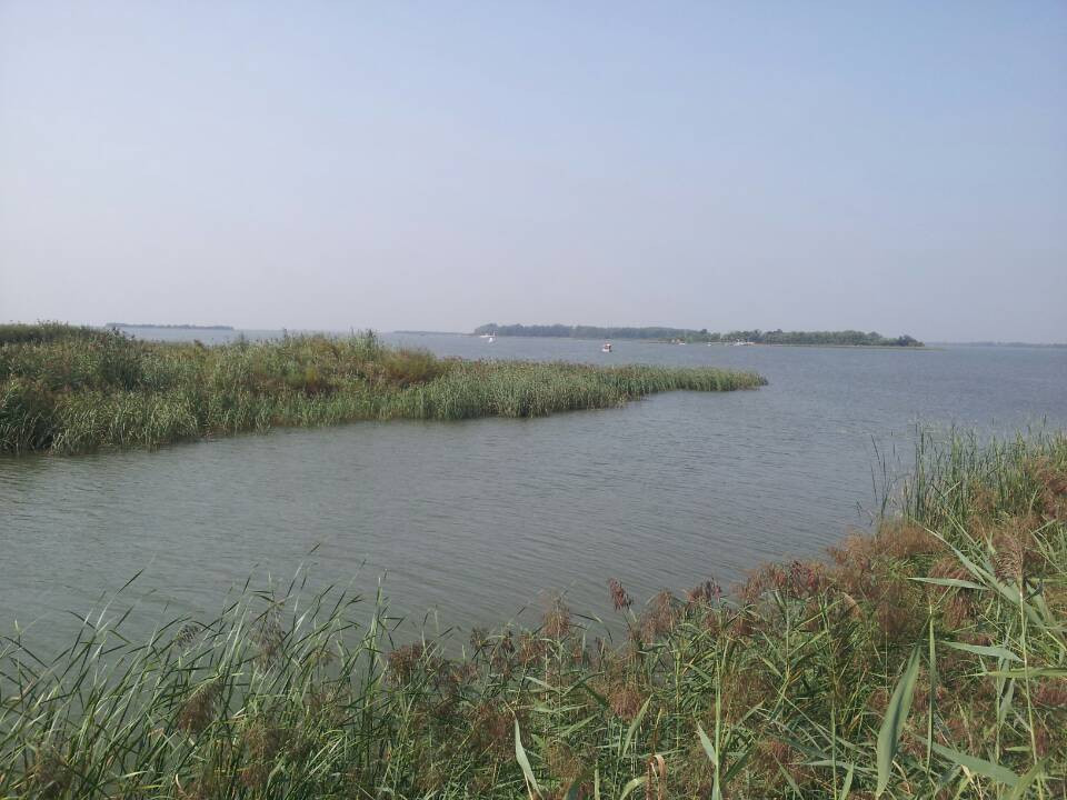 衡水湖-衡水市必去景点