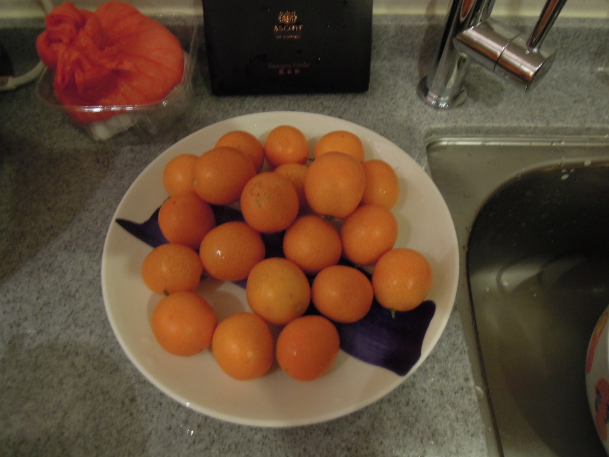 雅诗阁美伦服务公寓-客卧