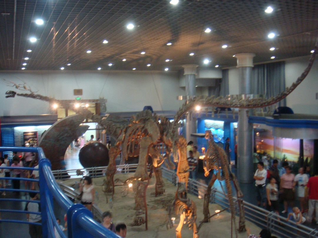 北京自然博物馆-北京市必去景点