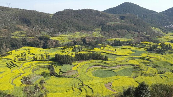 罗平螺丝田-罗平县必去景点
