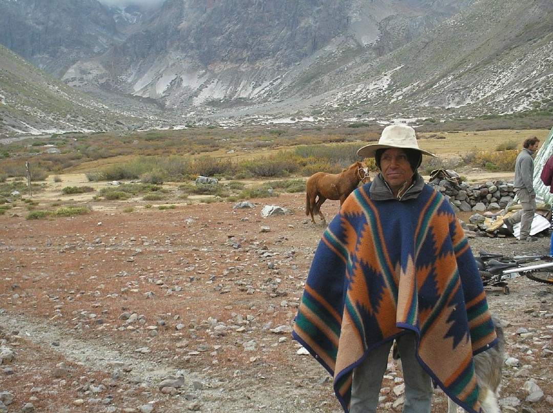 Alpaca Ciclismo-Curico必去景点