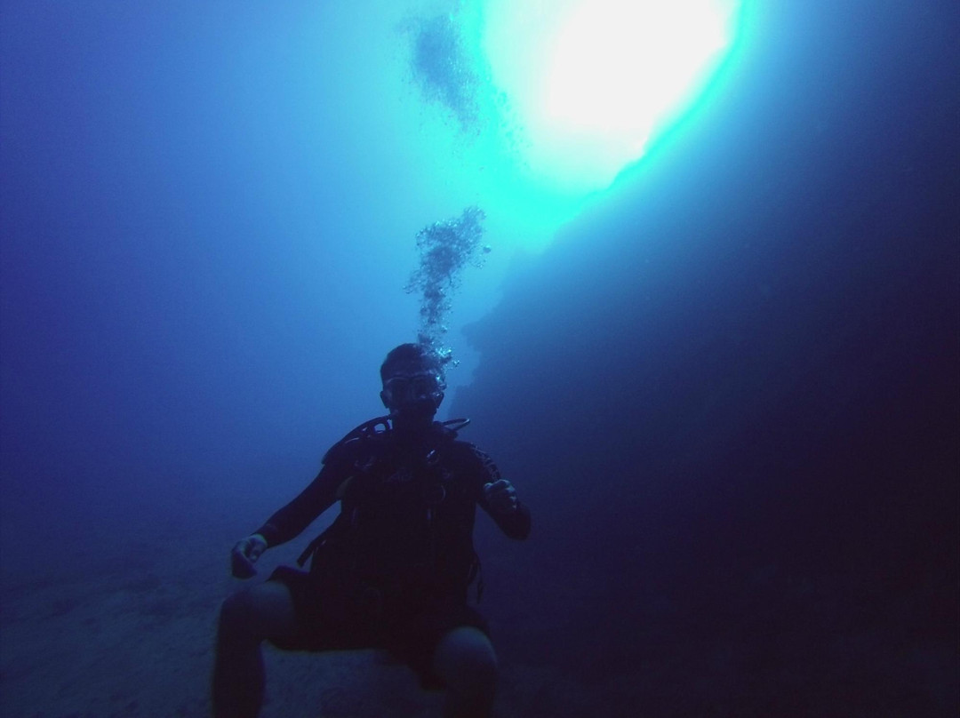 文图拉潜水中心-岛印必去景点
