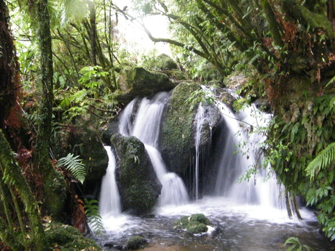Buried Village of Te Wairoa-罗托鲁瓦必去景点