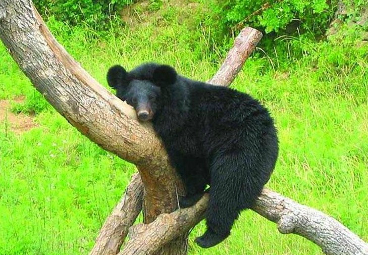 小青岛-青岛市必去景点