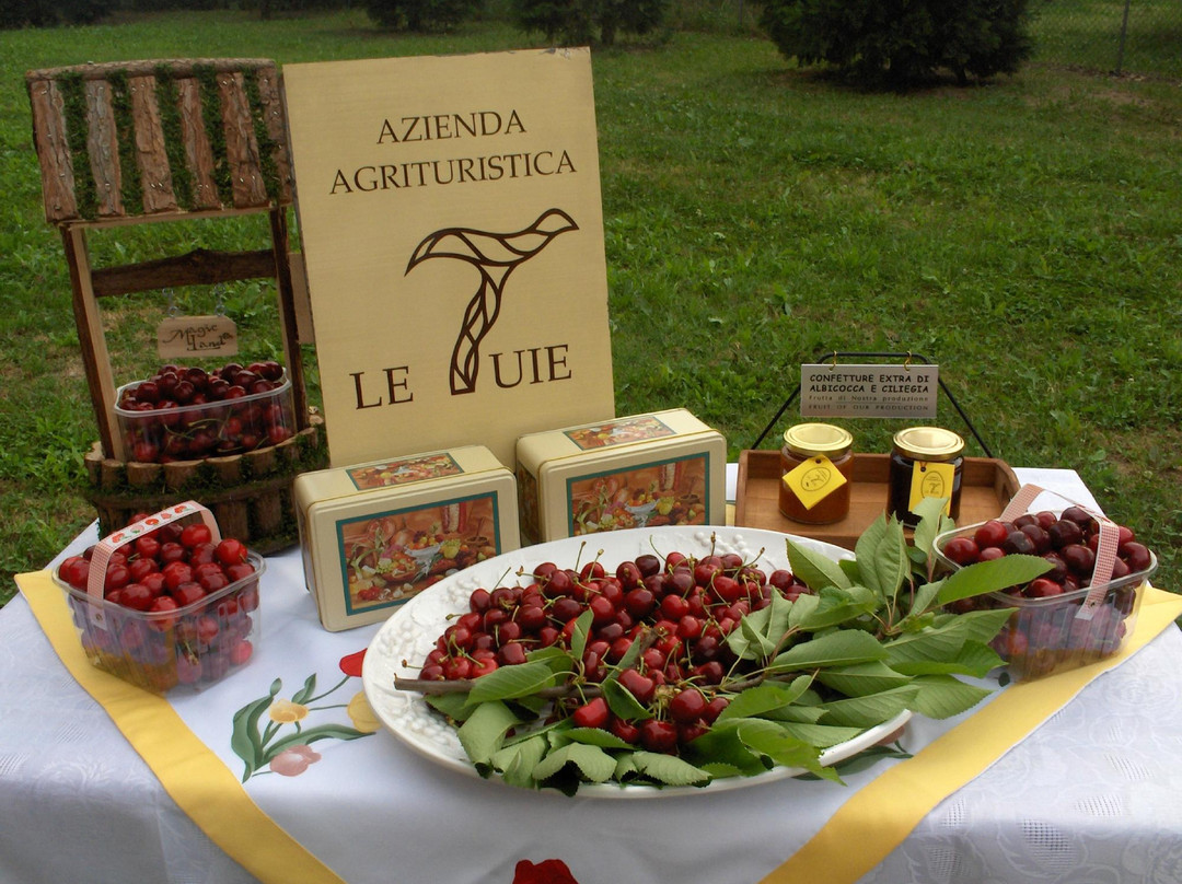 Agriturismo Le Tuie主图