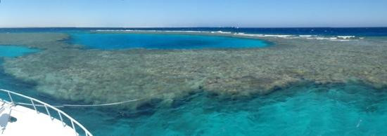 3 Turtles Diving Center-Safaga必去景点