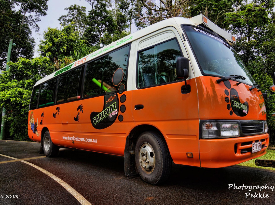 赤足观光之旅-凯恩斯必去景点