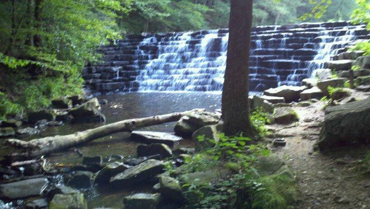 Laurel Hill State Park景点图片