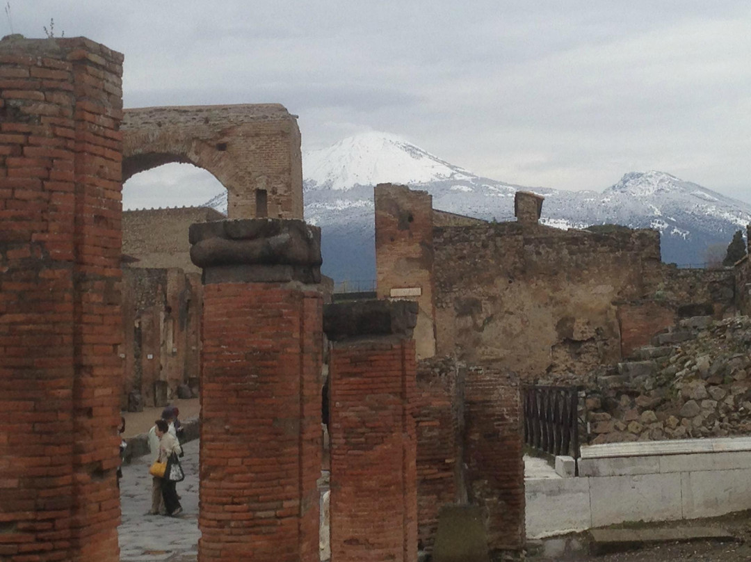 Campania Guide - Private Day Tours-那不勒斯必去景点