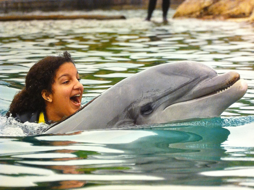 探索湾-奥兰多必去景点