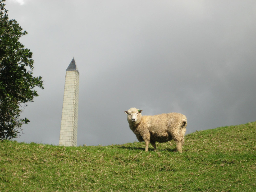 独树山-奥克兰中心地区必去景点