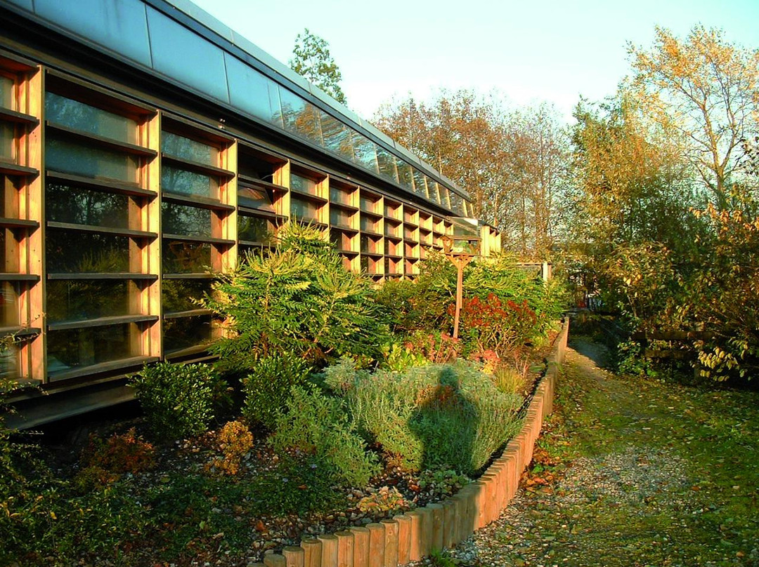 Trafford Ecology Park-Trafford Park必去景点