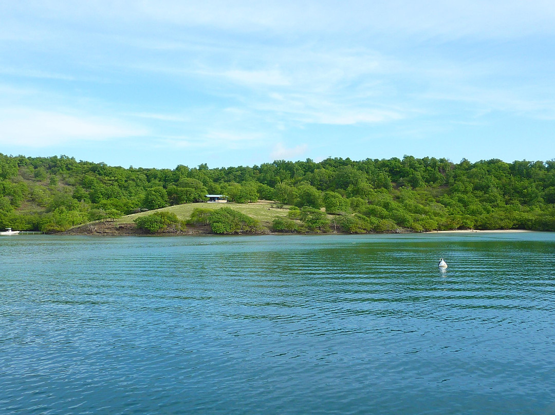 Dénébola Les Plaisirs Nautiques-Le Robert必去景点