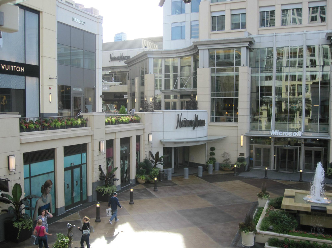 The Shops at The Bravern景点图片