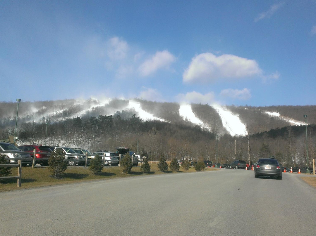 Whitetail Mountain Resort景点图片