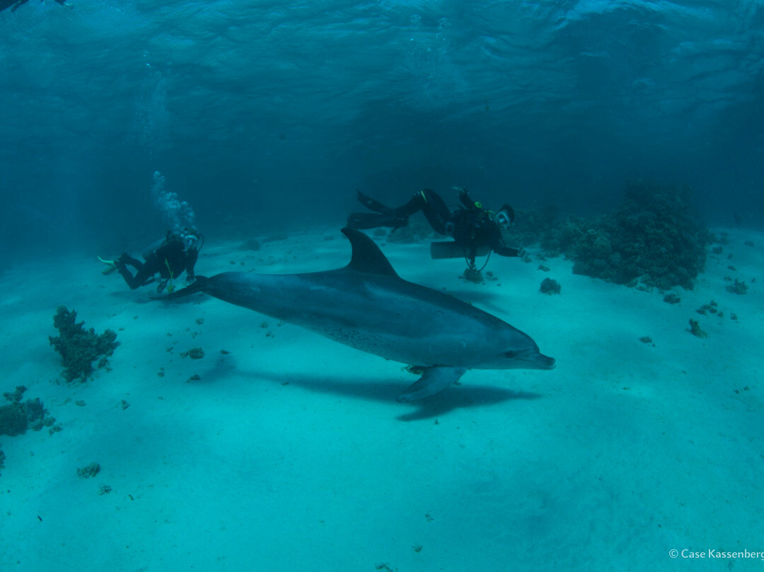 Dahab Divers Lodge-达哈卜必去景点