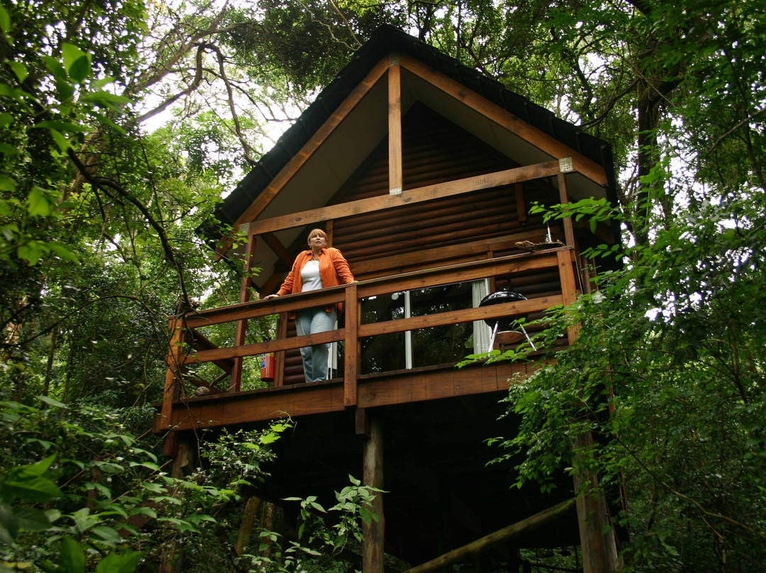 Kurisa Moya Nature Lodge