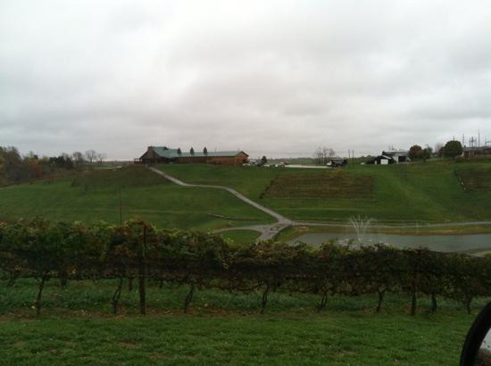 Elk Creek Vineyards景点图片