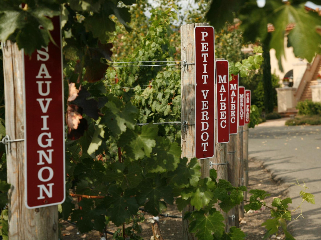 Bennett Lane Winery景点图片