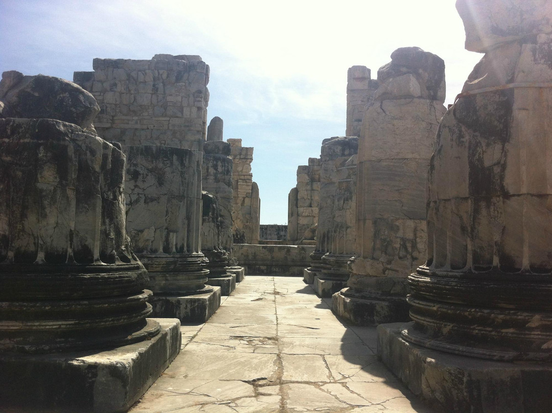 Temple of Apollo-迪迪姆必去景点