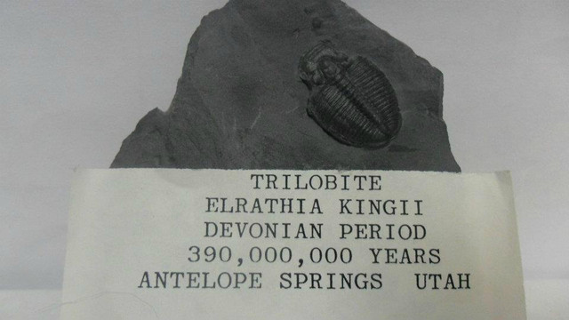 Fall Creek Rock Shop-罗拉必去景点