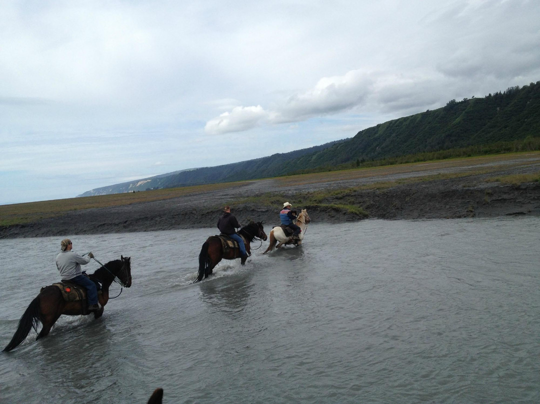 Trails End Horse Adventures-荷马必去景点