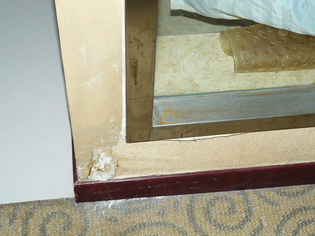 金富豪大酒店主图