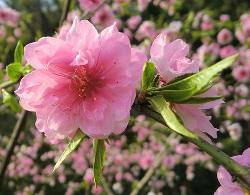 吼山-绍兴市必去景点