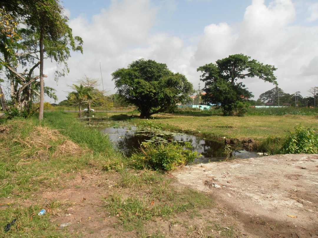 Guyana Botanical Gardens景点图片