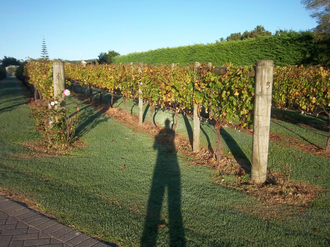 The Point Lodge主图