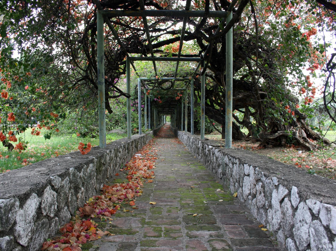 Hope Botanical Garden and Zoo景点图片