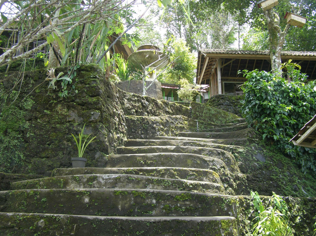 Buana Amertha Sari (BAS)-邦利必去景点