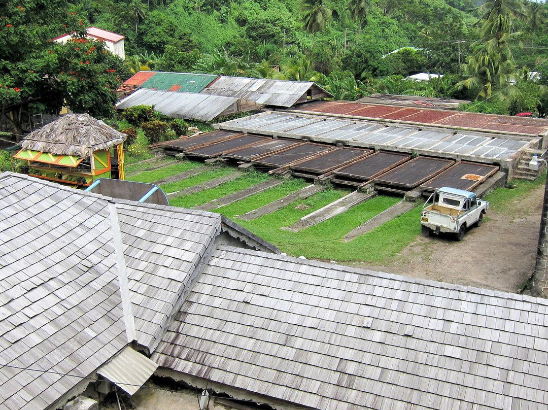 Belmont Estate Grenada-Belmont必去景点