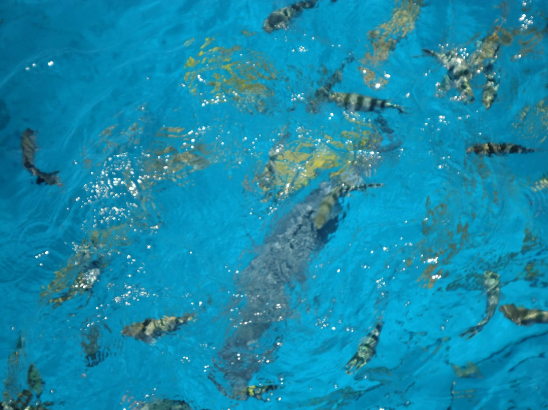 Le Ponton-努美阿必去景点