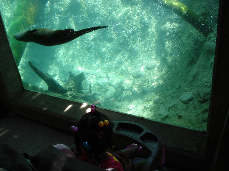 哥伦布动物园-Powell必去景点