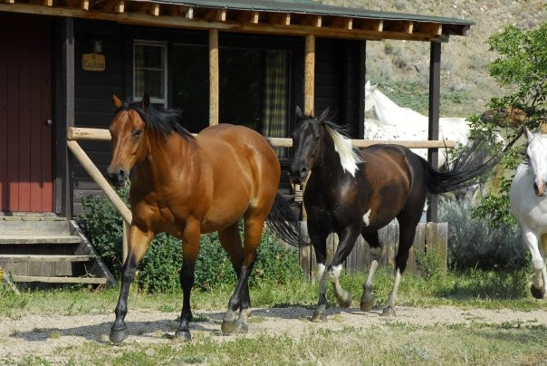 La Reata Ranch