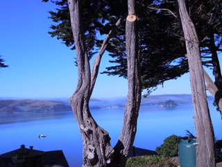 Inn on Tomales Bay-酒店景观