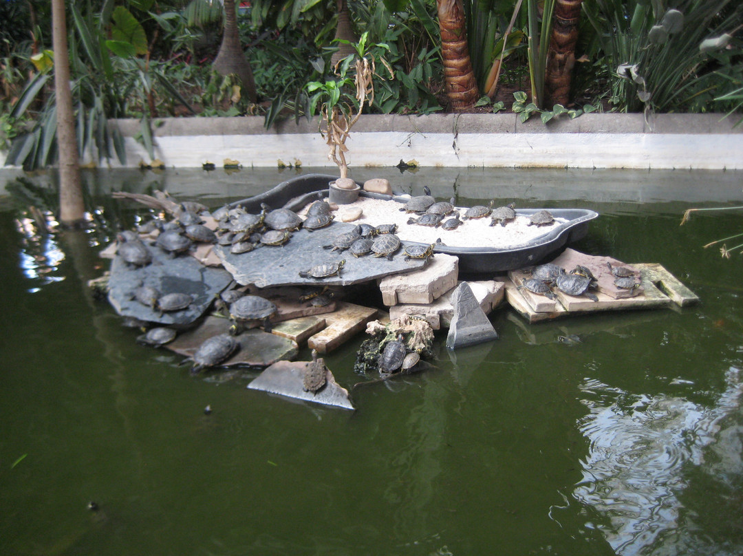 阿托查火车站-马德里必去景点