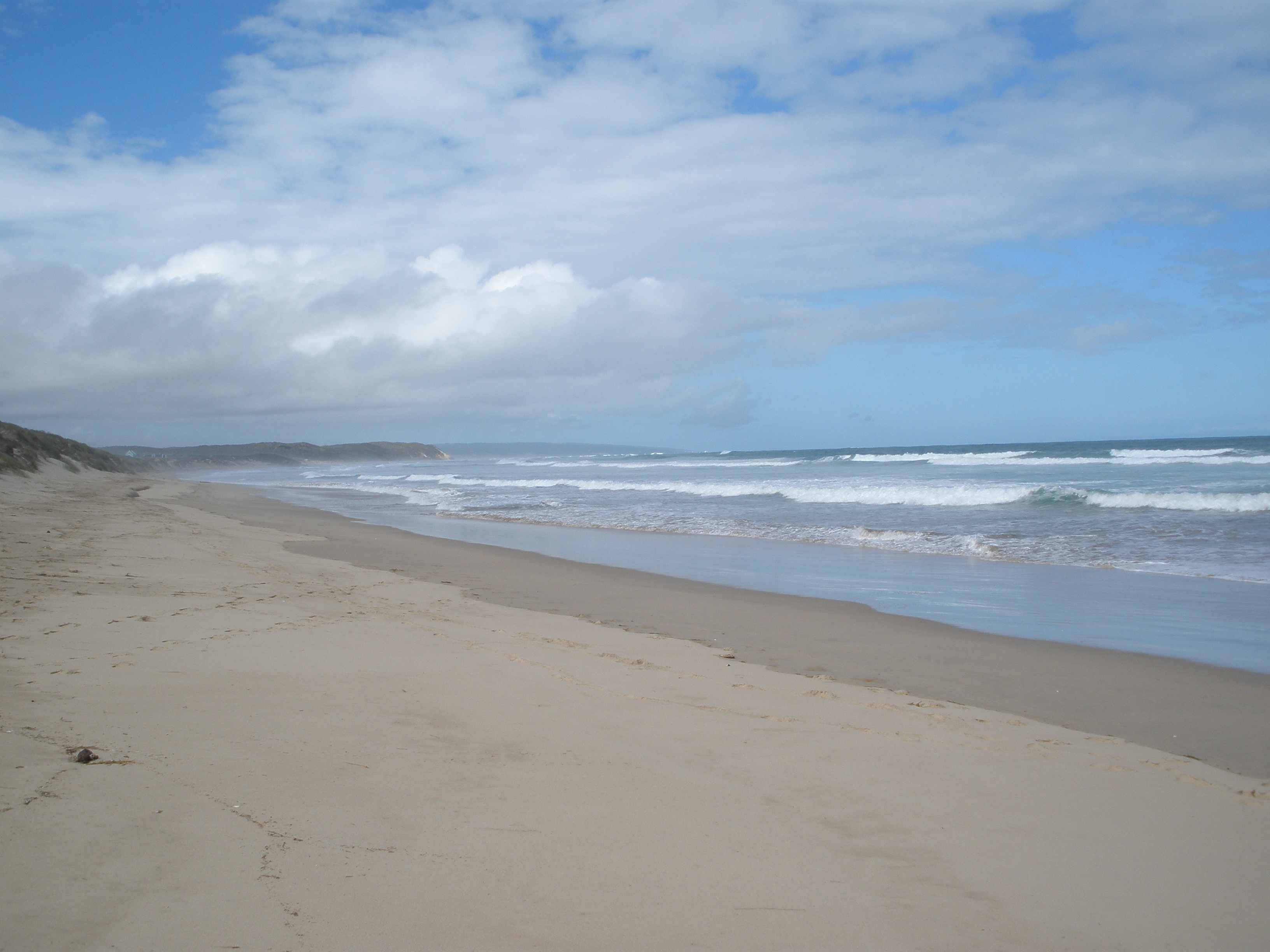 The Dunes-泳池