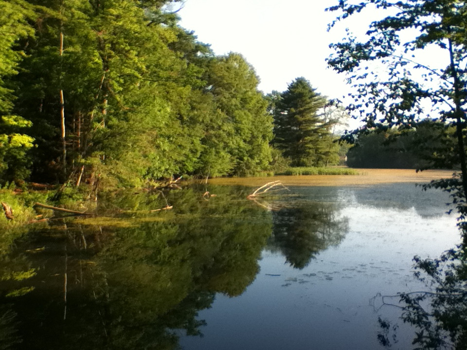 Ashuwillticook Rail Trail-Adams必去景点