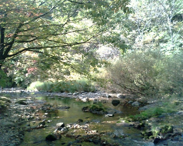 本溪关门山国家森林公园-本溪满族自治县必去景点