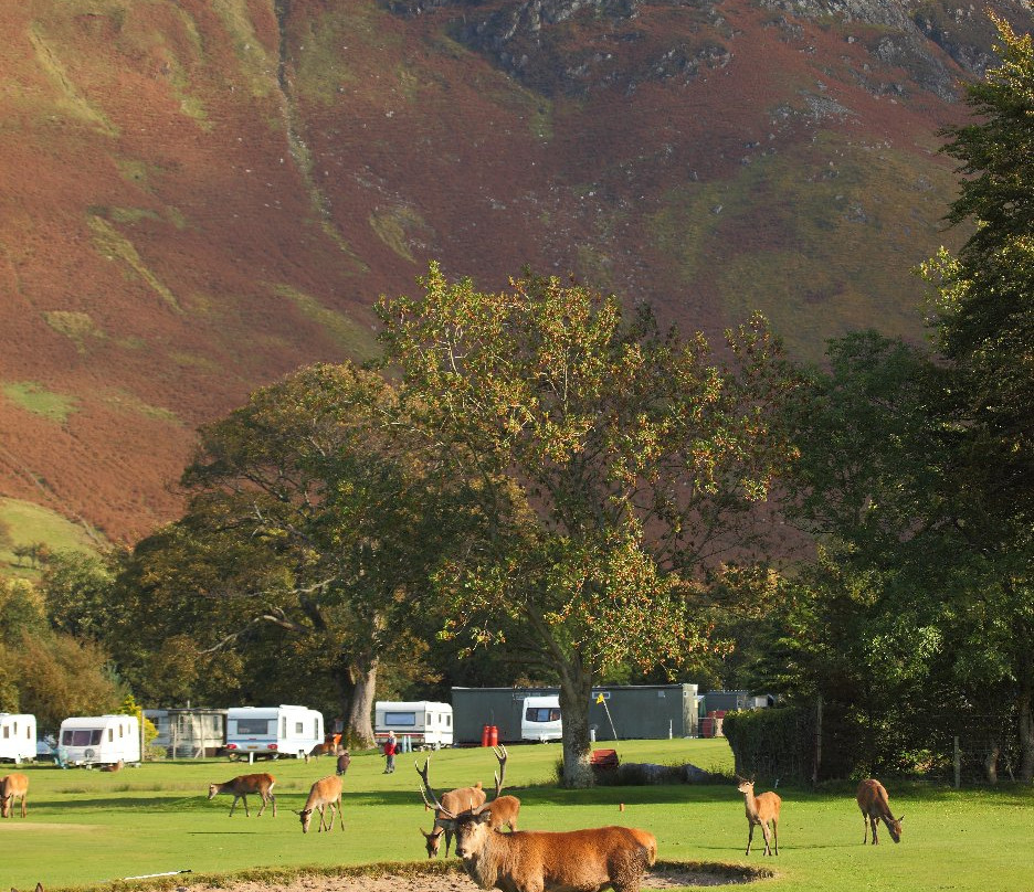 Lochranza Caravan & Camp Site