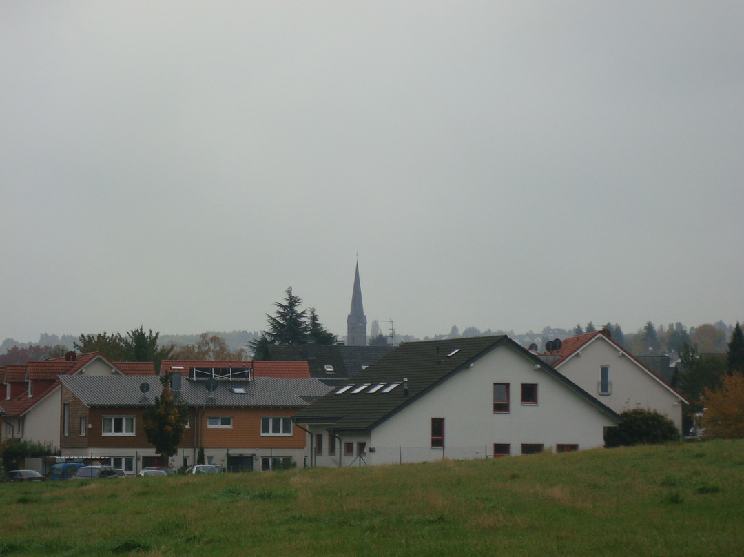 Hotel Koln-Bonn主图