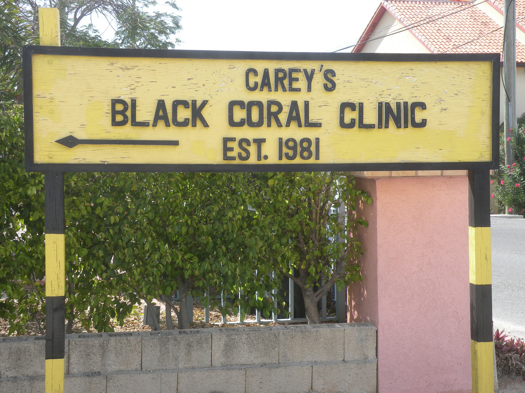 Black Coral Clinic景点图片