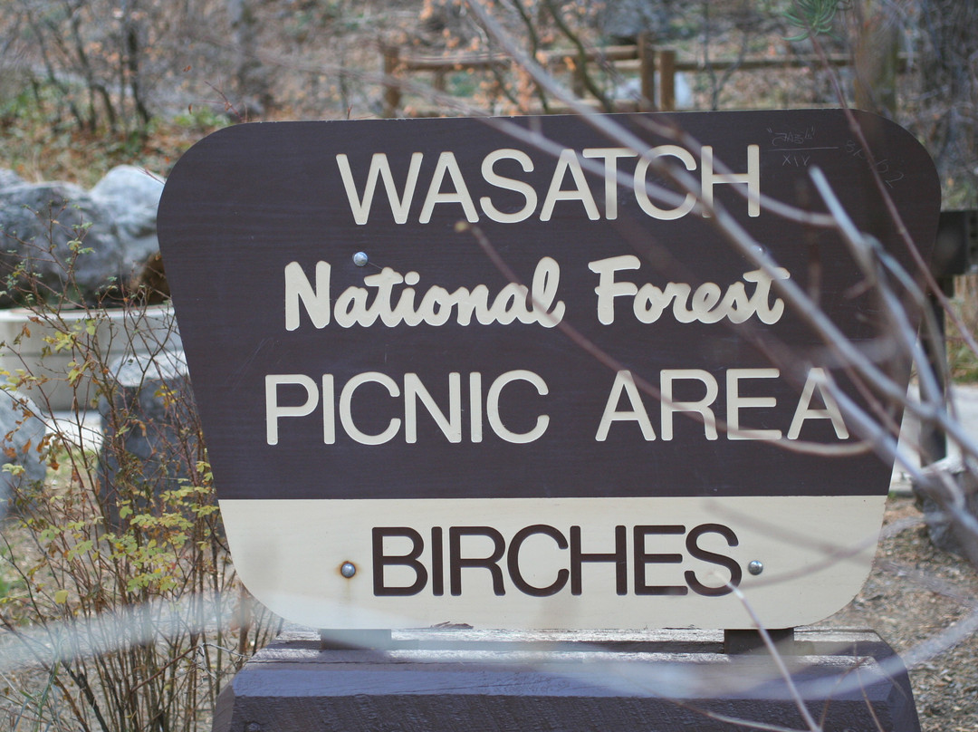 Wasatch-Cache National Forest-布莱敦必去景点
