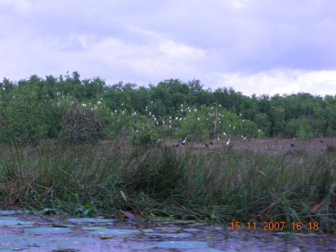 Tra Su Bird Sanctuary-朱笃必去景点
