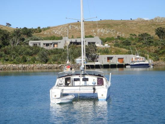 Mercury Bay-科罗曼德必去景点