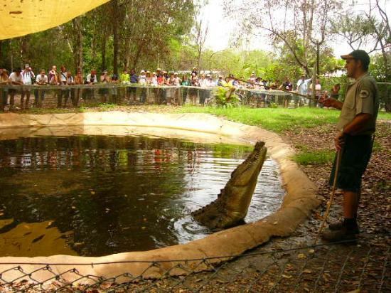 Billabong Sanctuary-汤斯维尔必去景点